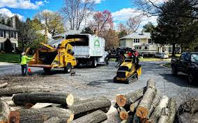 Best Commercial Tree Services  in Centerport, NY